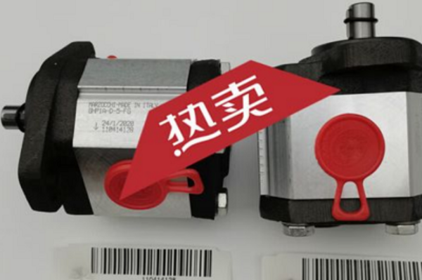 意大利Marzocchi齒輪泵GHP1A-D-7-FG，馬祖奇雙聯齒輪泵ALP2BK1-D-12-FG-V